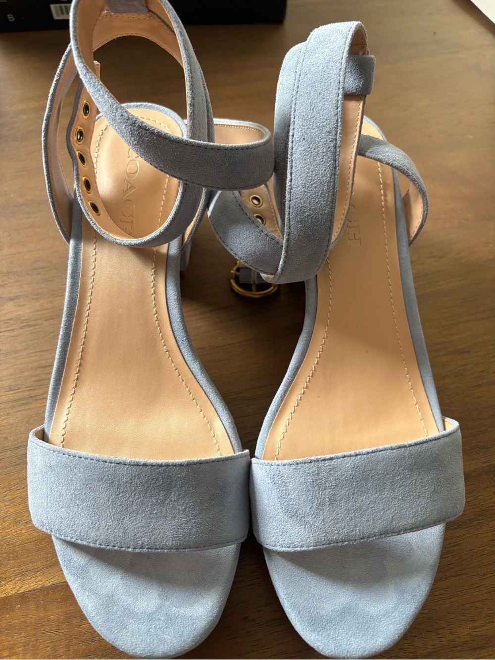 Coach Light Blue Suede Ankle Strap Heels